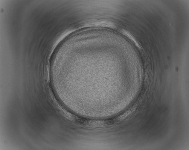 X0000086081079200704091255