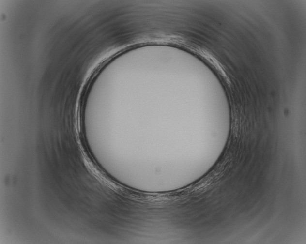 X0000086081080200704091255