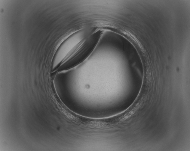 X0000086081081200704091255