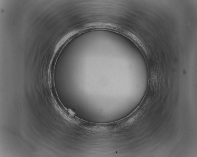 X0000086081082200704091255