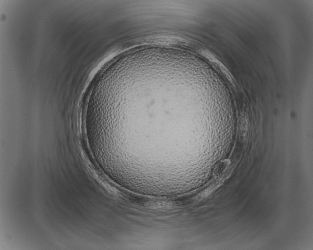 X0000086081083200704091255