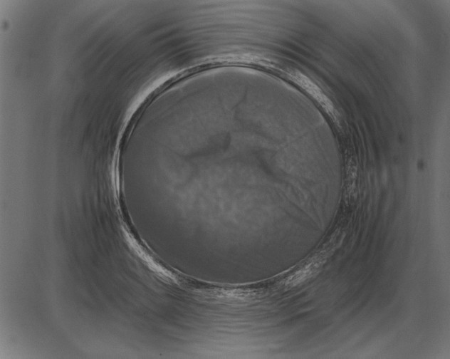 X0000086081084200704091255