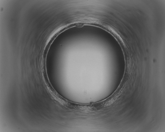 X0000086081085200704091255