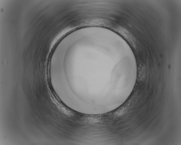 X0000086081086200704091255