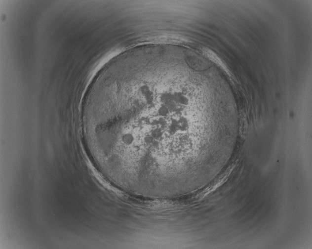 X0000086081087200704091255