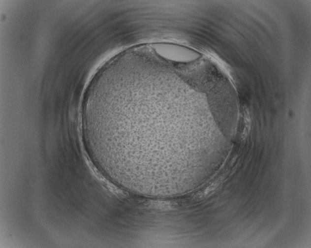 X0000086081088200704091255