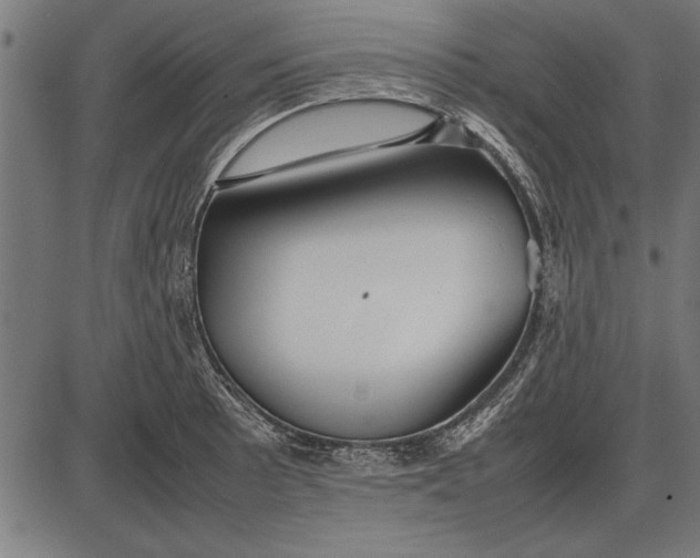 X0000086081089200704091255