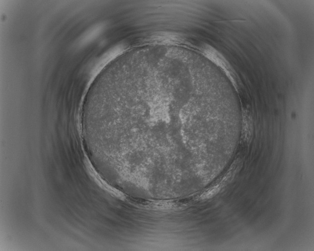 X0000086081090200704091255