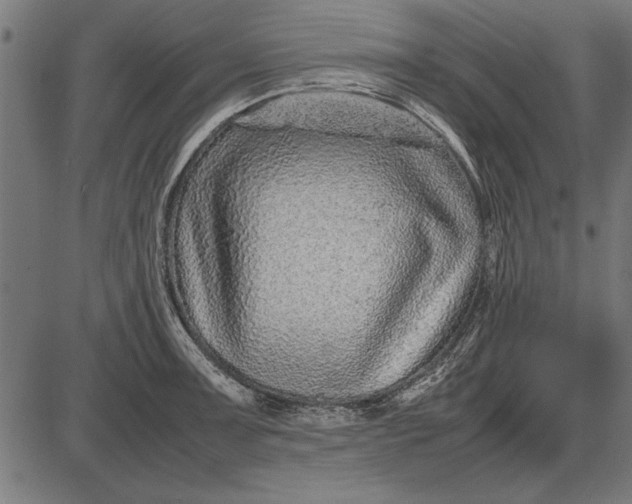 X0000086081091200704091255