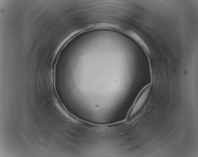 X0000086081092200704091255