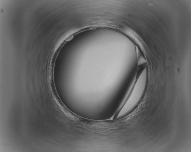 X0000086081093200704091255