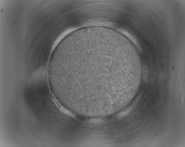 X0000086081094200704091255