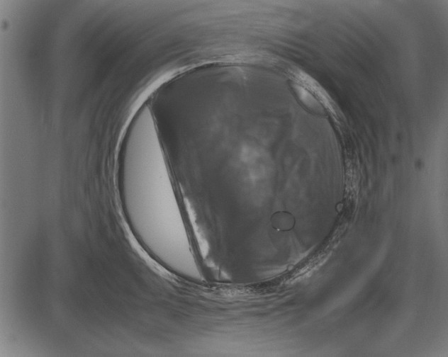 X0000086081095200704091255