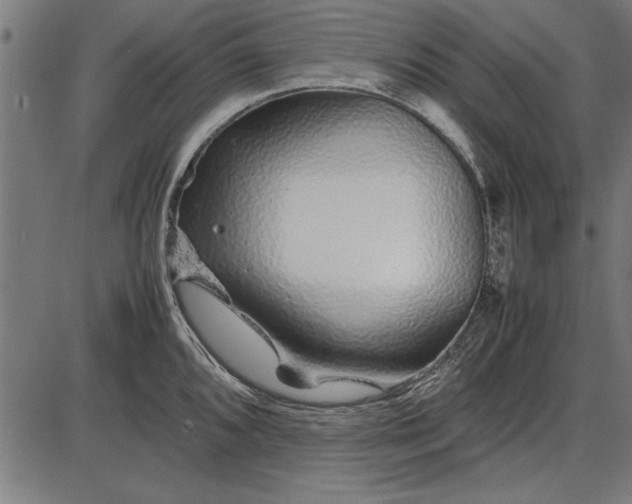 X0000086081096200704091255