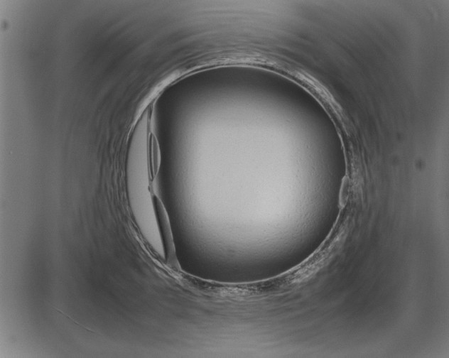 X0000086081097200704091255