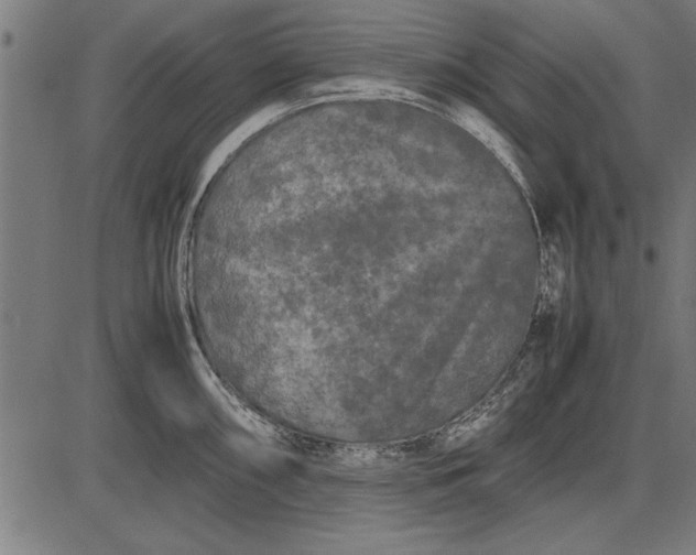 X0000086081098200704091255