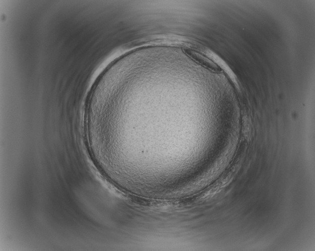 X0000086081099200704091254