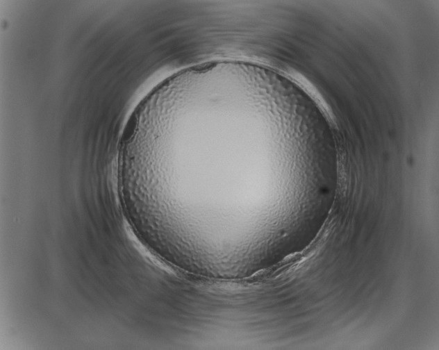 X0000086081100200704091254