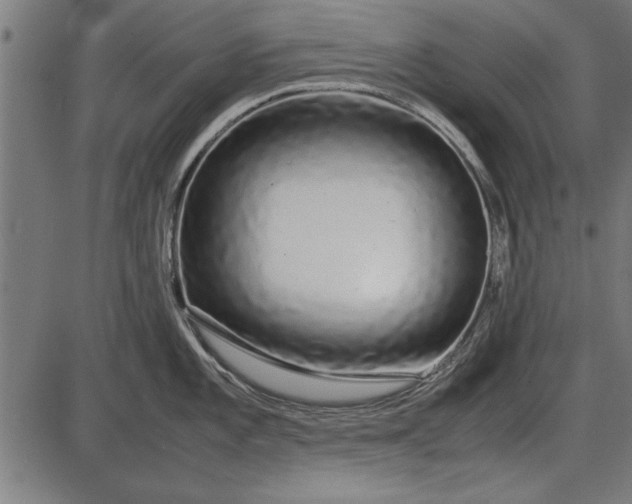 X0000086081101200704091254