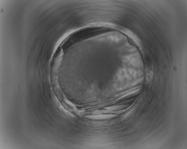 X0000086081102200704091254