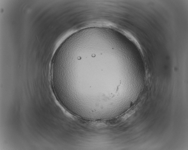 X0000086081103200704091254