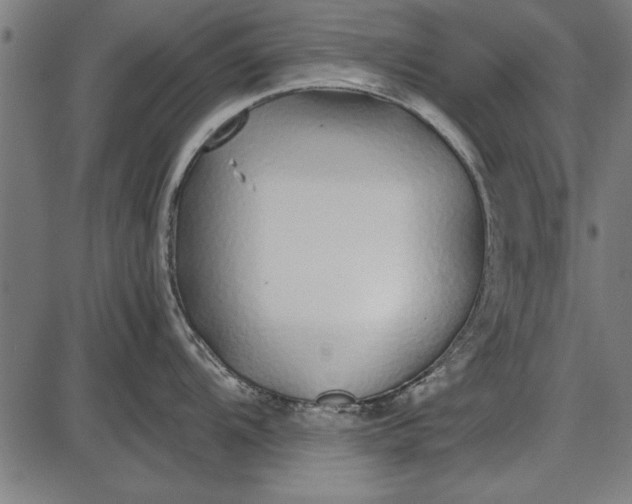 X0000086081104200704091254