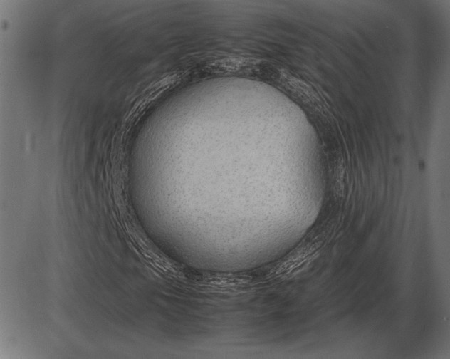 X0000086081105200704091254