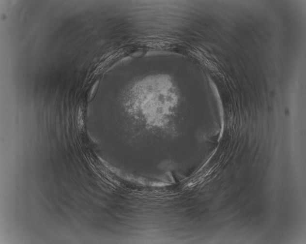 X0000086081106200704091254