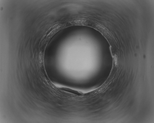 X0000086081107200704091254