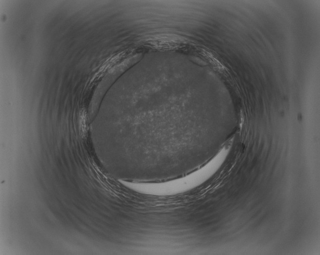 X0000086081108200704091254