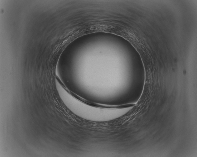 X0000086081109200704091254