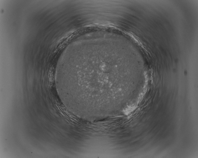 X0000086081110200704091254