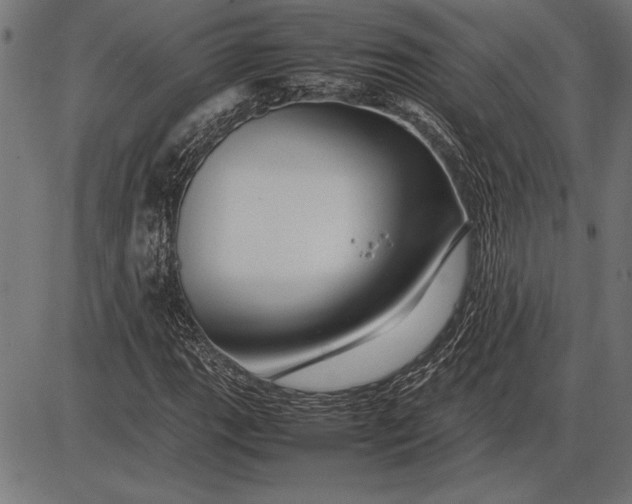 X0000086081111200704091254