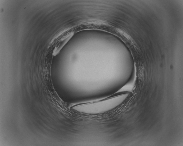 X0000086081112200704091254