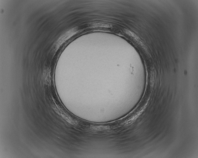 X0000086081113200704091254