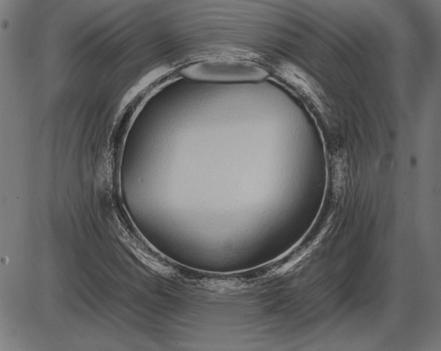 X0000086081114200704091254