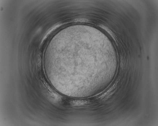 X0000086081115200704091254