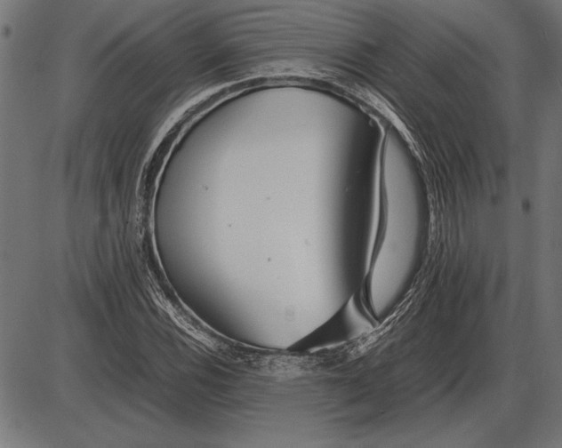 X0000086081116200704091254