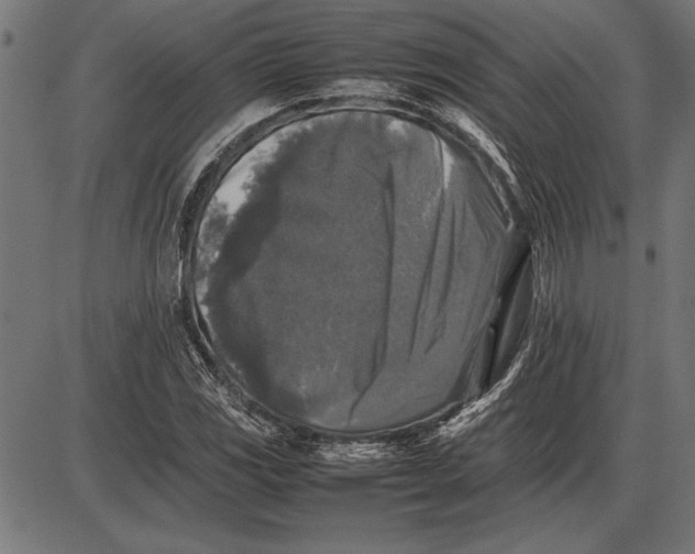 X0000086081117200704091254