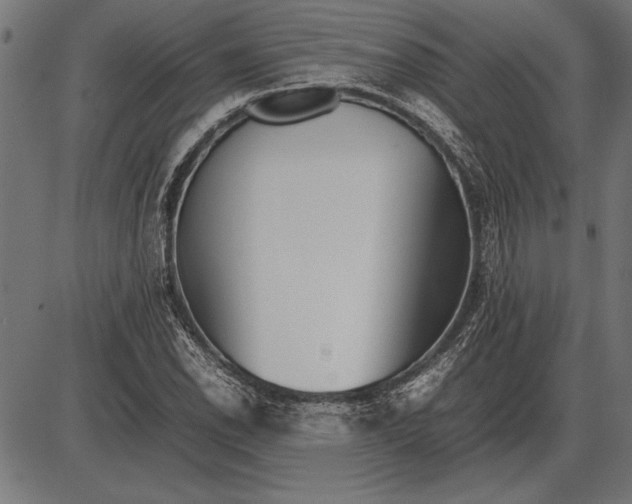 X0000086081118200704091254