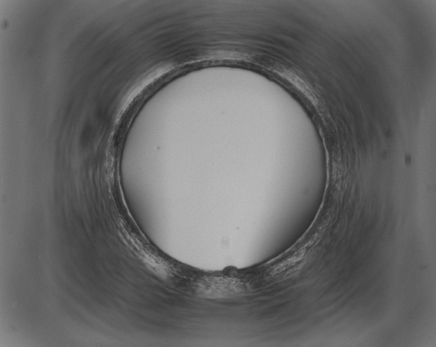 X0000086081119200704091254