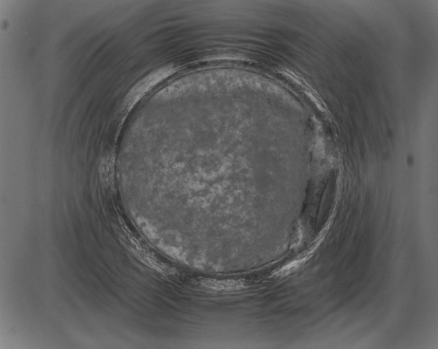 X0000086081121200704091254