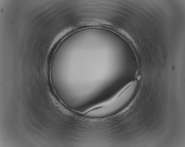 X0000086081122200704091254