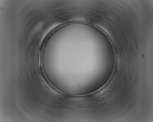 X0000086081123200704091254