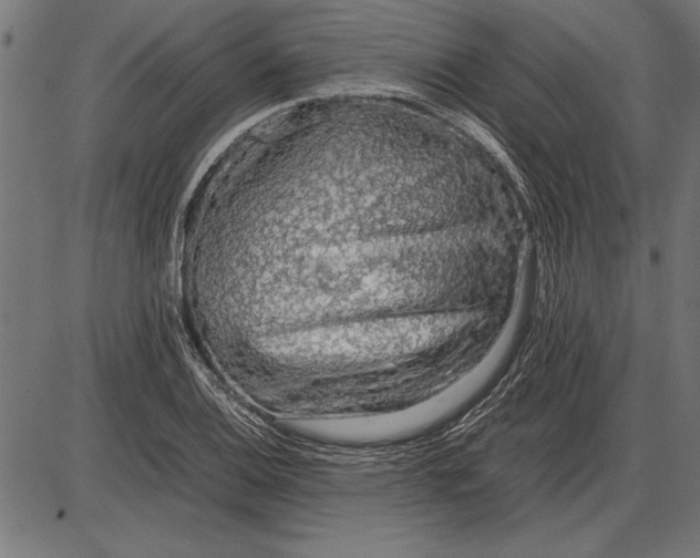 X0000086081124200704091254