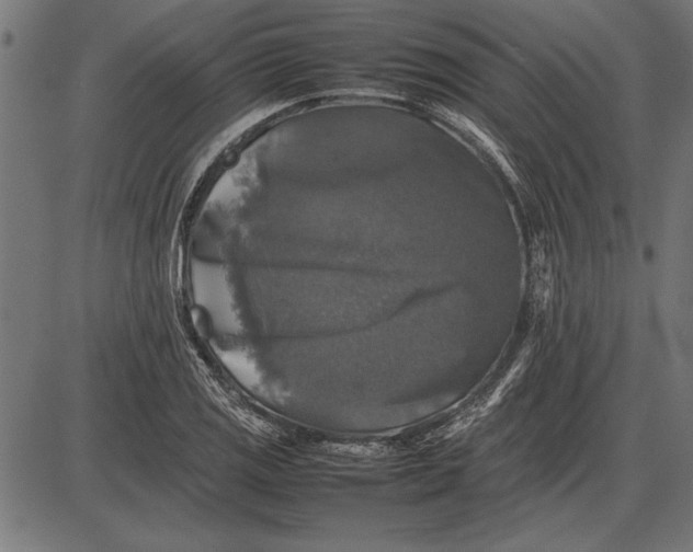 X0000086081125200704091254