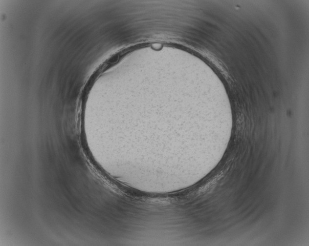 X0000086081126200704091254