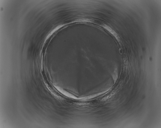 X0000086081127200704091254