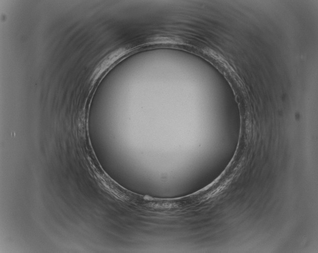 X0000086081129200704091254