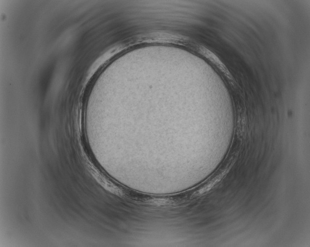 X0000086081130200704091254